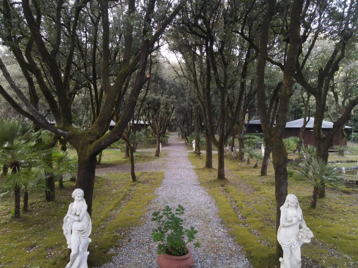 Residence Il Fortino Marina di Massa Dış mekan fotoğraf